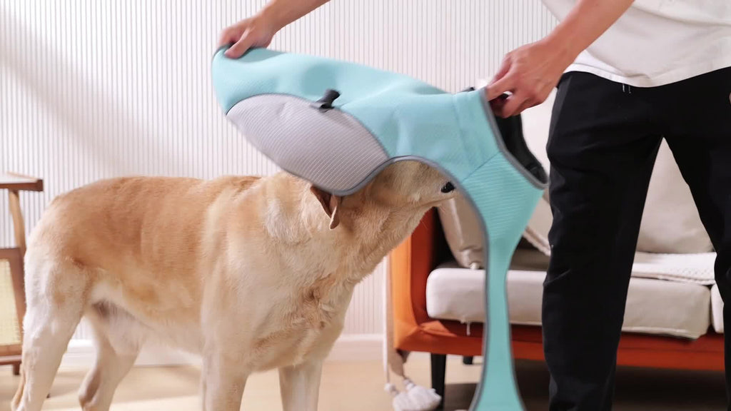 1pc Breathable Reflective Cooling Dog Vest