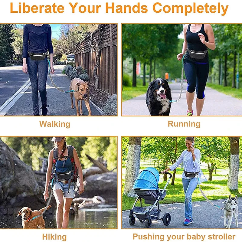 Handsfree Dog Leash