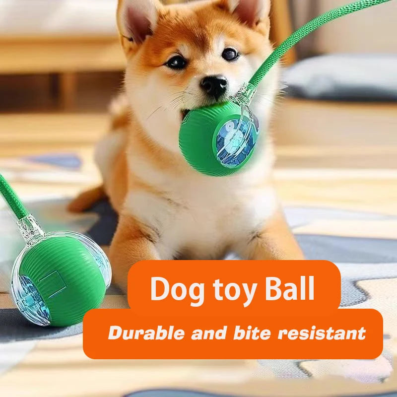 New Interactive Ball Toy with Tail