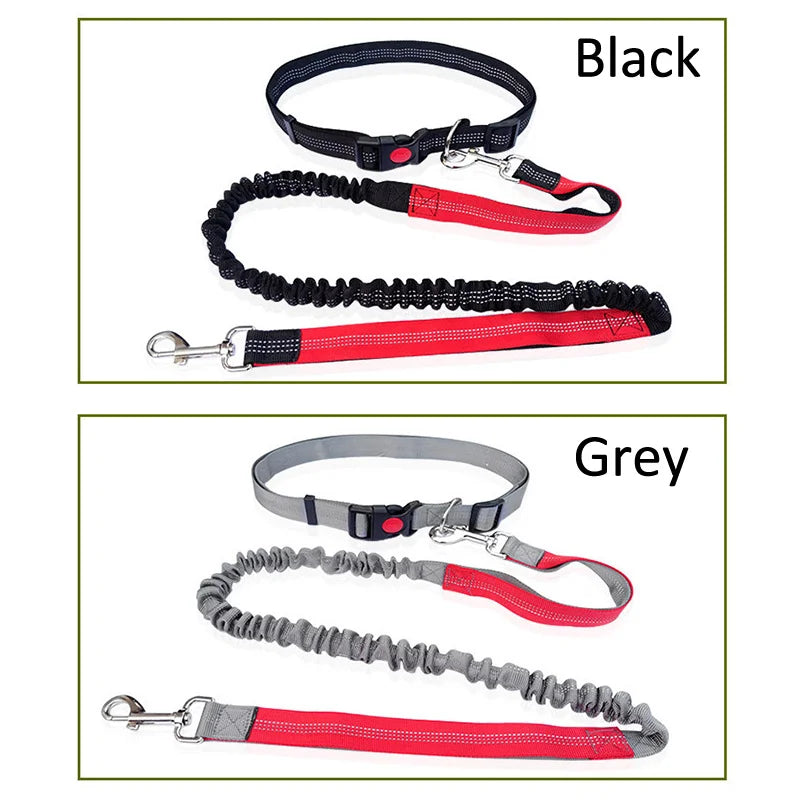 Handsfree Dog Leash