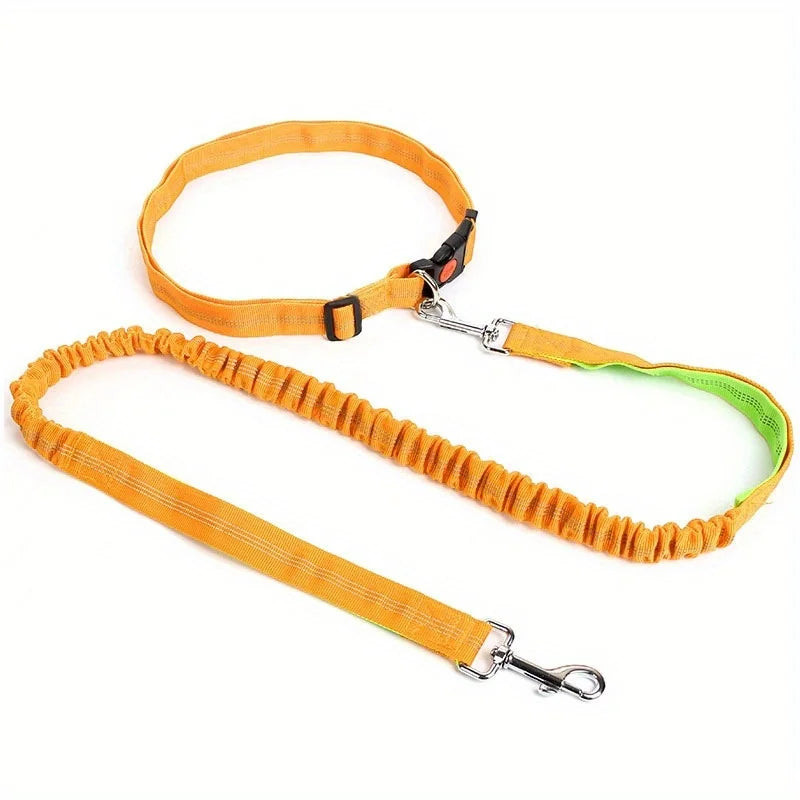 Handsfree Dog Leash