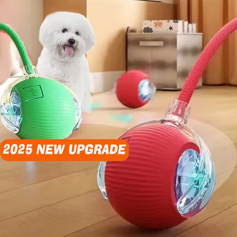 New Interactive Ball Toy with Tail