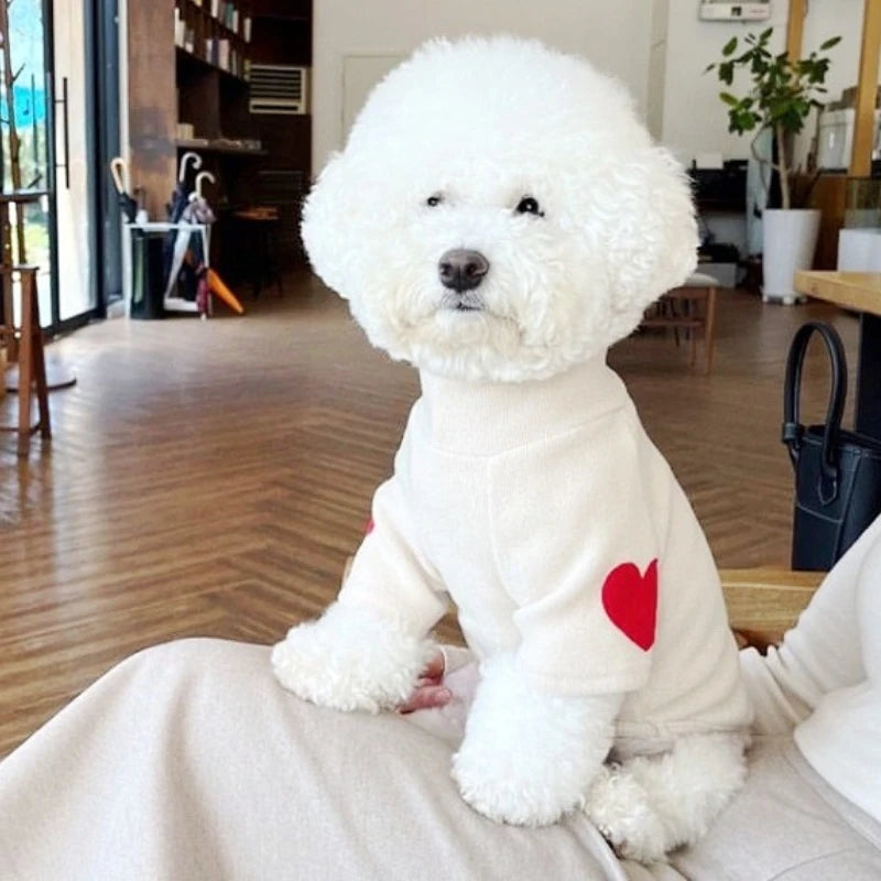 Heart Hoodie for small breeds