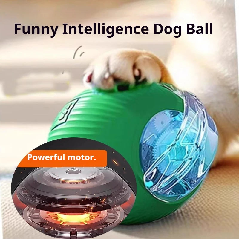 New Interactive Ball Toy with Tail