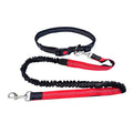 Handsfree Dog Leash