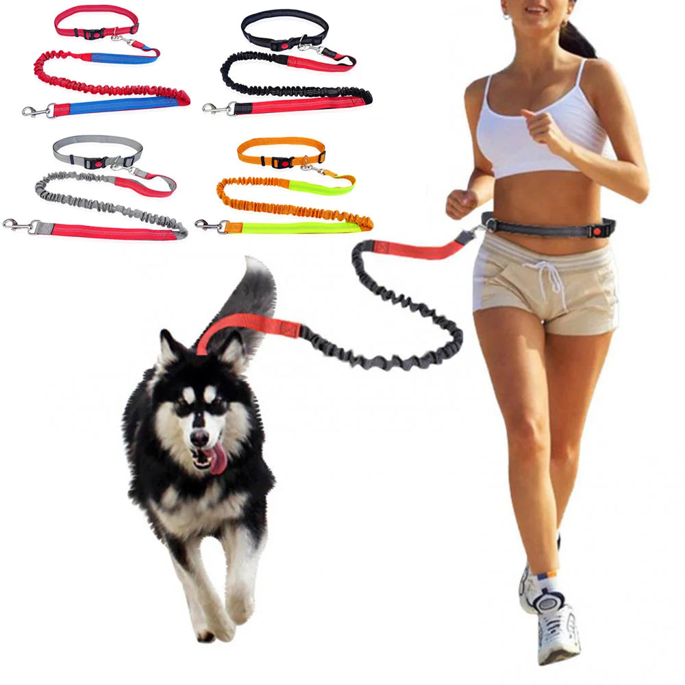 Handsfree Dog Leash