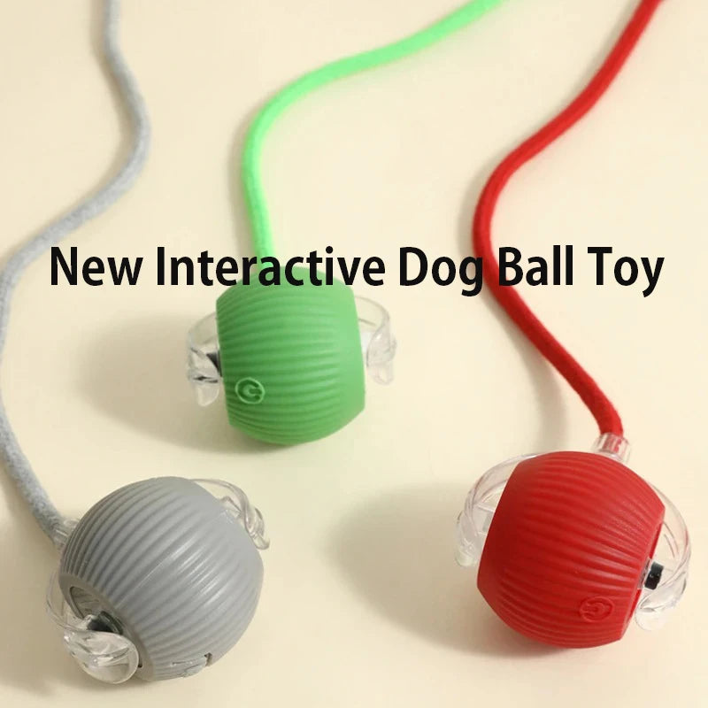 New Interactive Ball Toy with Tail