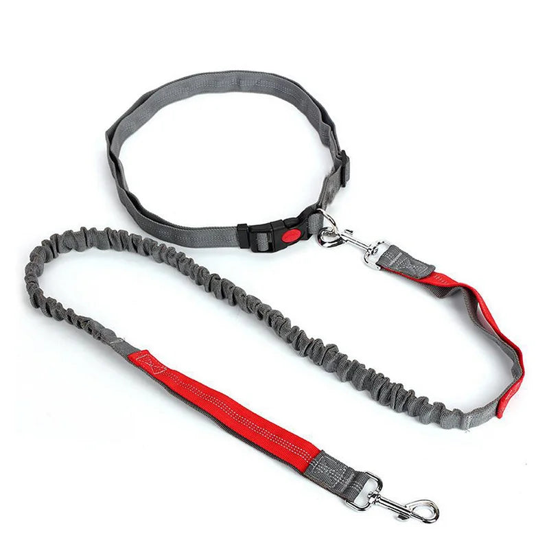 Handsfree Dog Leash