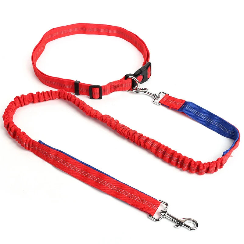 Handsfree Dog Leash