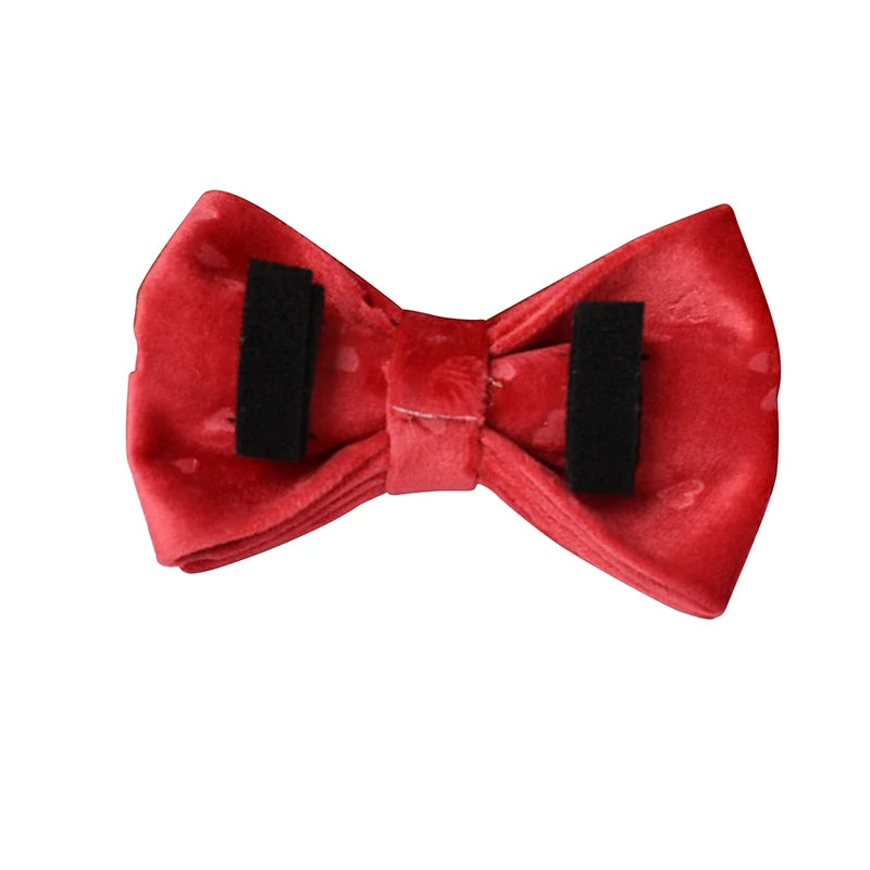 Customised Red Heart-shaped  Collar