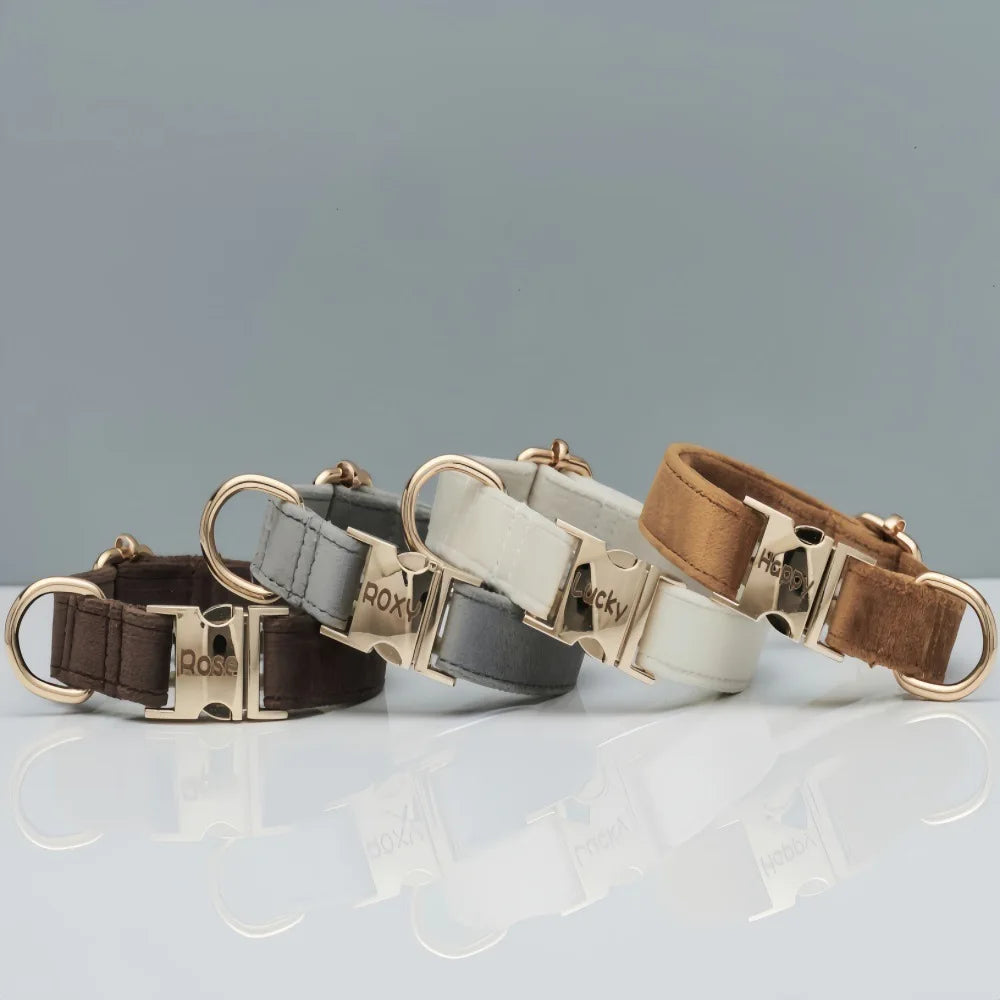 Personalized Velvet Dog Collar