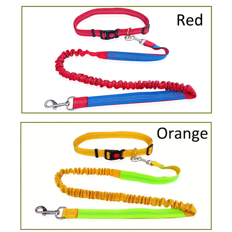 Handsfree Dog Leash