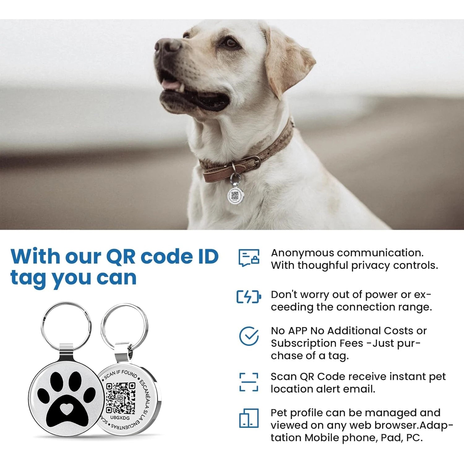 Custom QR Pet Tag