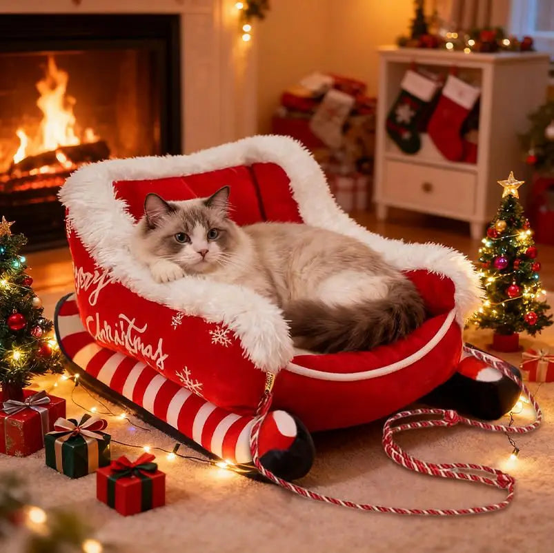 Christmas Sled