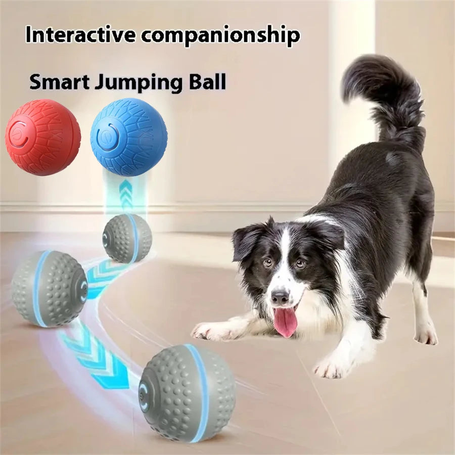 Smart Dog Toy