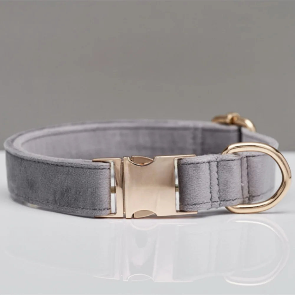 Personalized Velvet Dog Collar