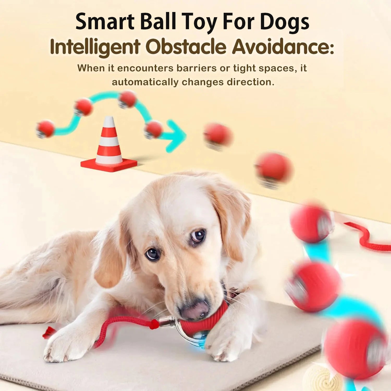 New Interactive Ball Toy with Tail