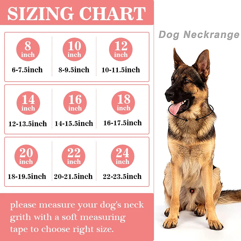 Pink Diamond Cuban Collar for Dogs