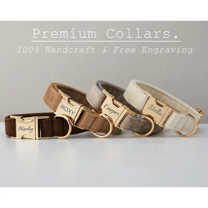 Personalized Velvet Dog Collar