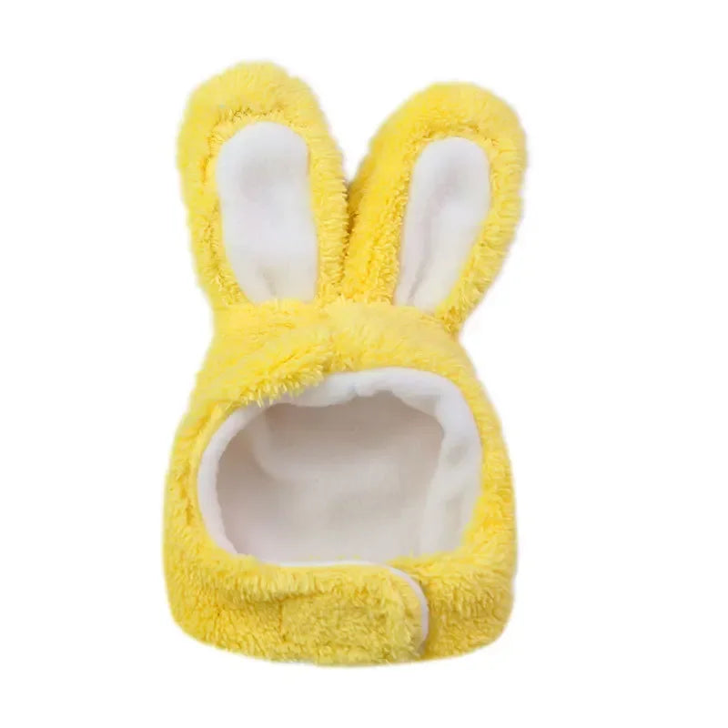 Kitty bunny ears
