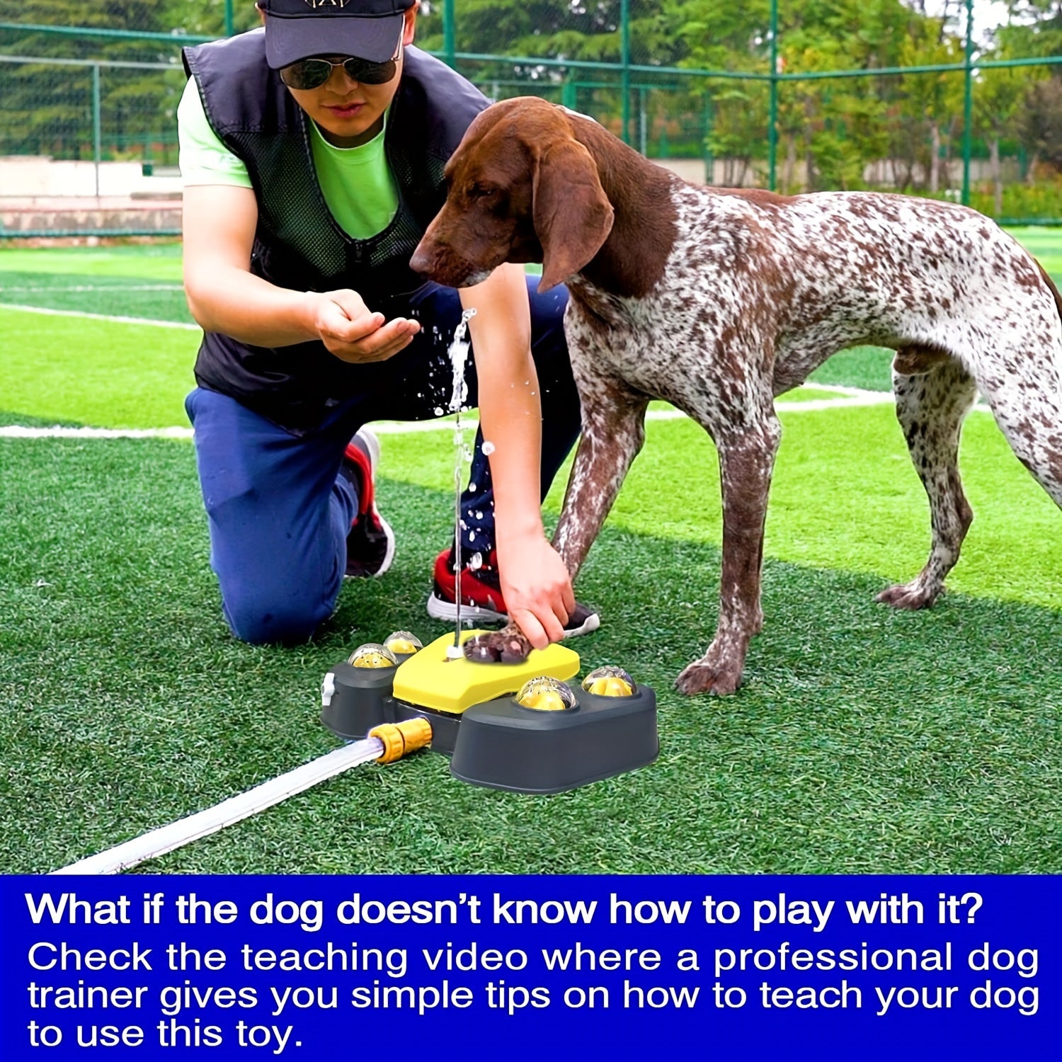 Summer Dog Sprinkler