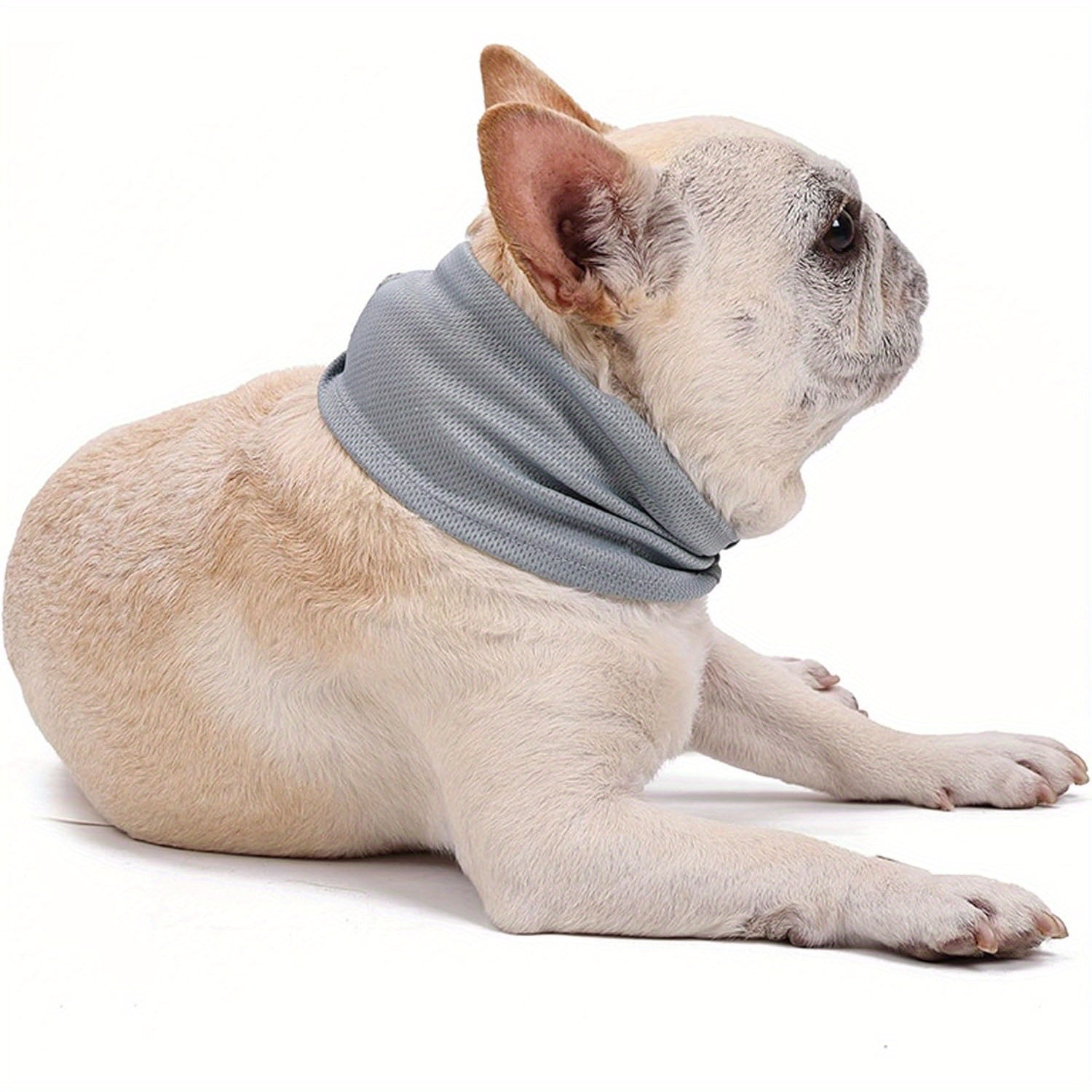2pcs of Cooling Scarves for Dogs